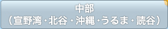 中部（宜野湾・北谷・沖縄・うるま・読谷）