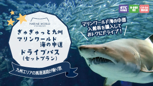 ぎゅぎゅっと九州マリンワールド海の中道ドライブパス