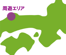 周遊走行（周遊エリア内の走行）