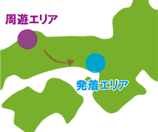復路走行（周遊エリア→発着エリア）