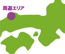 周遊走行（周遊エリア内の走行）