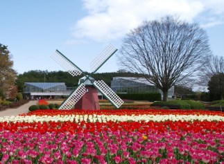 兵庫県立フラワーセンター