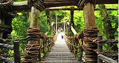 祖谷のかずら橋（徳島県／井川池田ICから約60分）