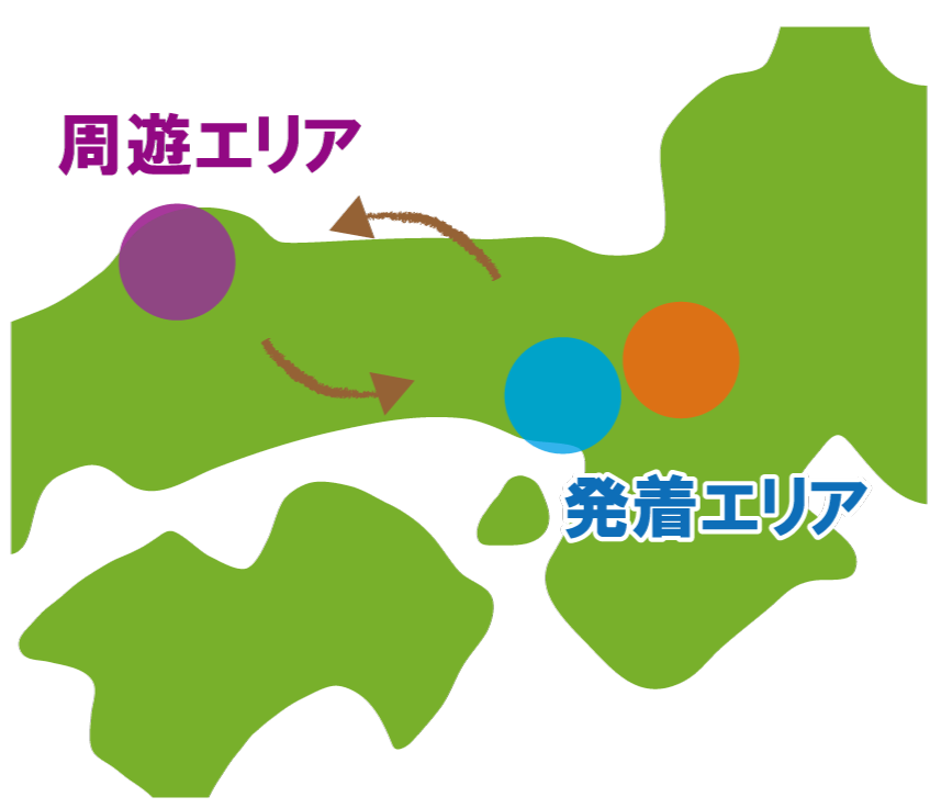 周遊エリア
