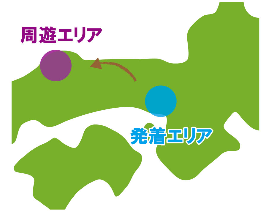 往路走行