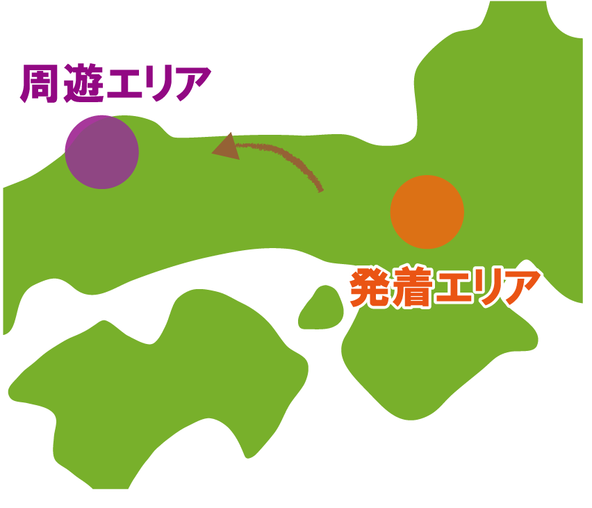 往路走行