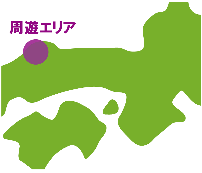 周遊走行