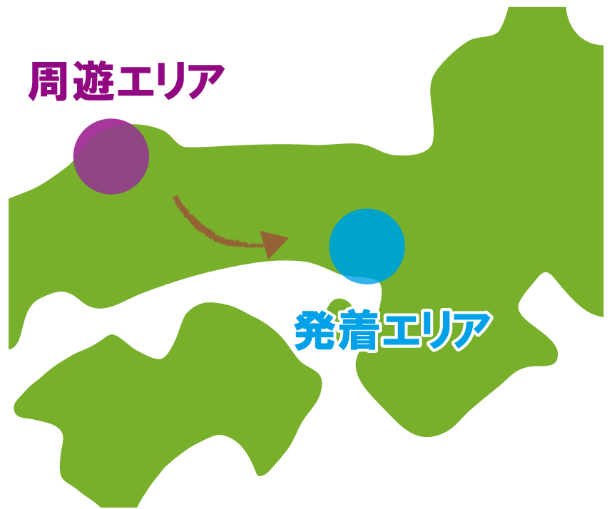 復路走行
