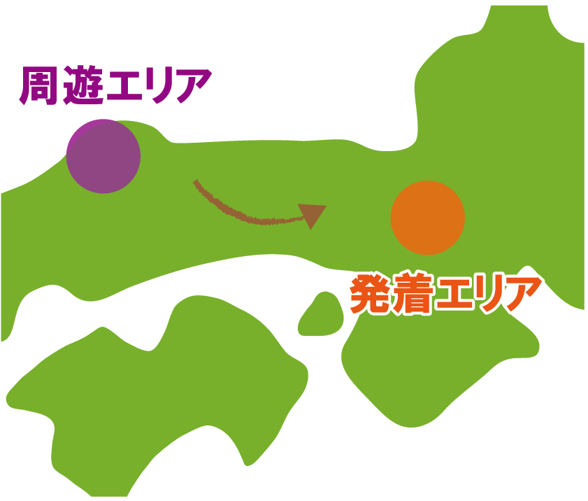 復路走行