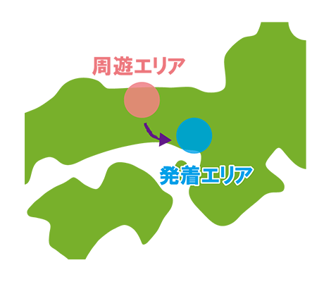 復路走行