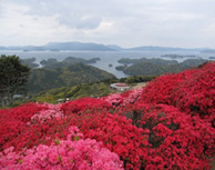 長串山つつじまつり