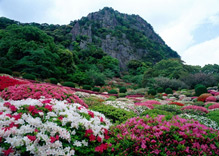 御船山楽園　花まつり