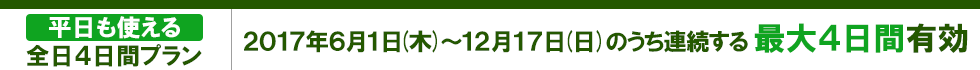 平日も使える全日4日間プラン