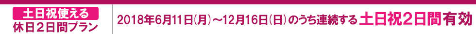 土日祝使える休日2日間プラン