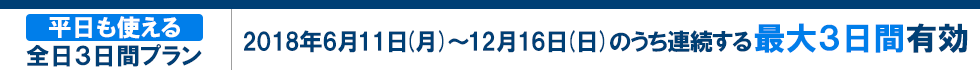 平日も使える全日3日間プラン