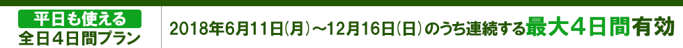 平日も使える全日4日間プラン