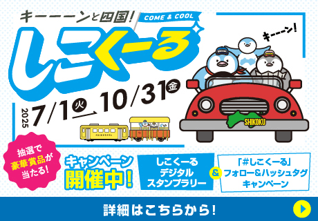 しこくーる